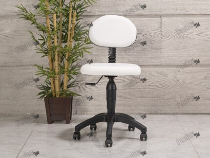 Amortisörlü Çalışma Sandalyesi | Beyaz - Plastik Ayak