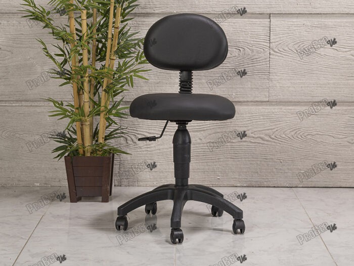 Amortisörlü Çalışma Sandalyesi Siyah - Plastik Ayak