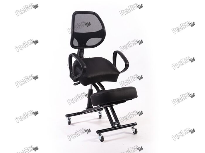 Veteriner Amortisörlü Dik Duruş Sandalyesi Arkalıklı - Siyah