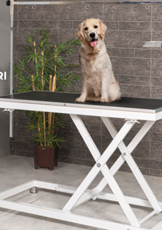 pet bakım masası fiyatları
