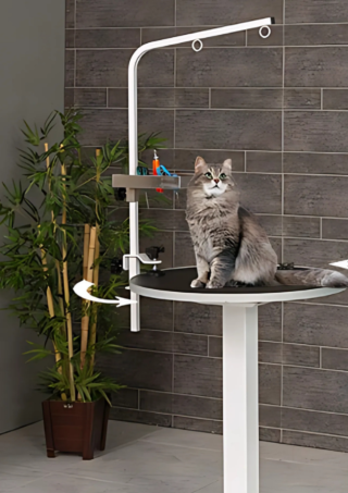 veteriner pet bakım masası